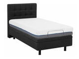 Gulta 519384