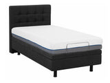 Gulta 519384