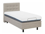 Gulta 519384