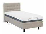 Gulta 519384