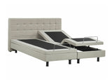 Gulta 519384