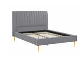 Gulta 522064
