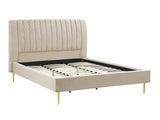 Gulta 522064