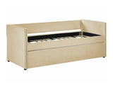 Gulta 523206