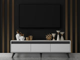 TV galds 530350