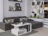 Plaukts 542115