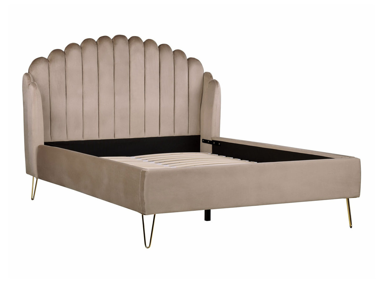Gulta 514351