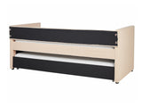 Gulta 523206