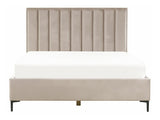 Gulta 514523