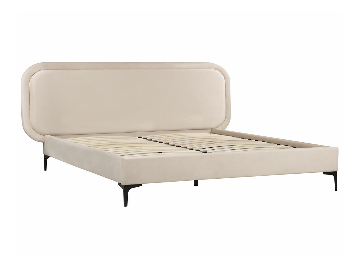 Gulta 549853