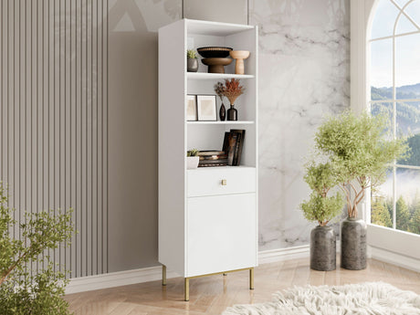 Plaukts 556060