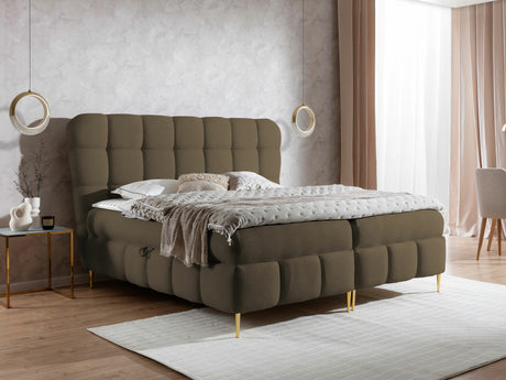 Kontinentālā gulta 567041