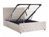 Gulta 523423
