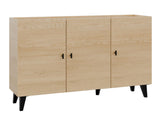 Skapis 589346