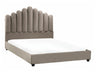 Gulta 589907