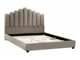 Gulta 589907
