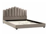Gulta 589907