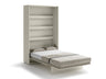 Siena gulta 482158