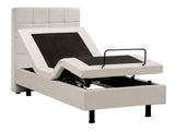 Gulta 519384