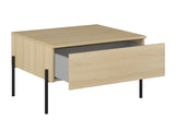 Viesistabas komplekts 601580