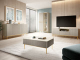 Plaukts 601782