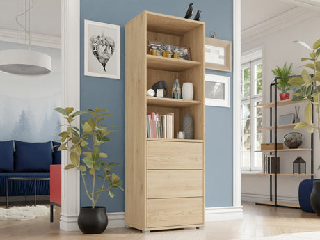 Plaukts 563685 4346121