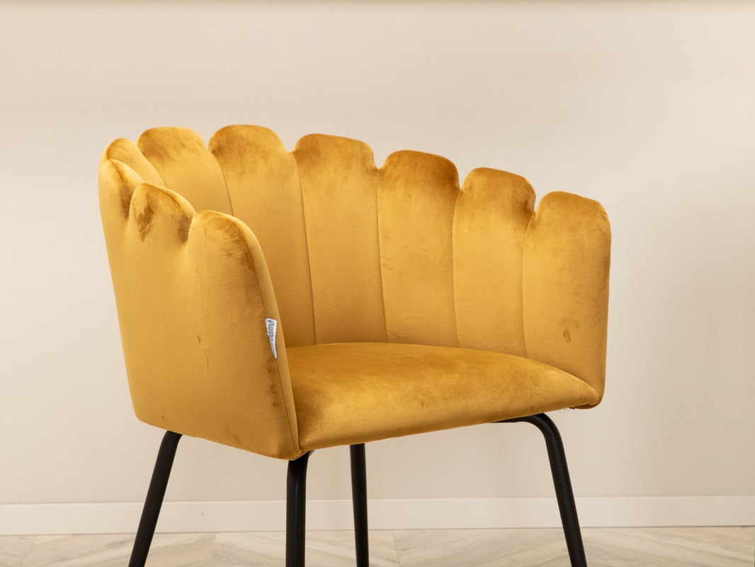 Ēdamistabas komplekts 623305