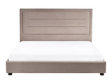 Gulta 630848