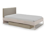 Gulta 654365