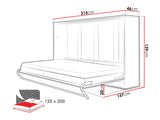 Sienas gulta 483098