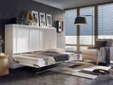 Sienas gulta 483098