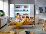Sienas gulta 482158 4984930