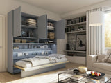Sienas gulta 483423