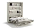 Sienas gulta 484406