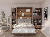 Sienas gulta 482158