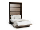 Sienas gulta 482158