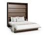 Sienas gulta 482158
