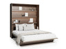 Sienas gulta 482158