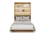Sienas gulta 685845