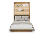 Sienas gulta 685845