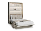 Sienas gulta 685845