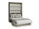 Sienas gulta 685845