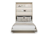 Sienas gulta 685845