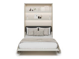Sienas gulta 685845
