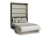 Sienas gulta 685845