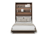 Sienas gulta 685845