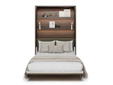 Sienas gulta 685845