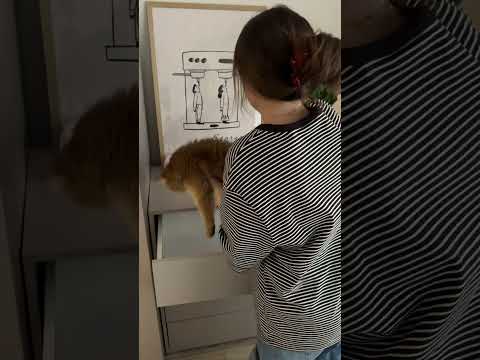 Kumode 563678 JYqMbZNhI64