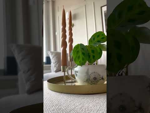Pufs 407613 d82tVx22_AU